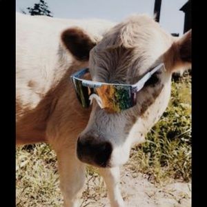 Meet your Posher, Karma